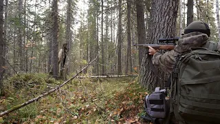 СКОЛЬКО РЯБЧИКОВ ОКОЛО ДЕРЕВНИ! / ОХОТА НА РЯБЧИКА С МЕЛКАШКОЙ / КАРАБИН "СОБОЛЬ"