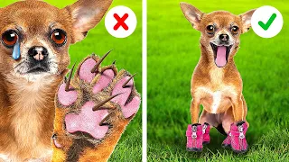 TRUQUES DE EMERGÊNCIA PARA DONOS DE PETS || ACESSÓRIOS E DICAS ÚTEIS PARA QUEM AMA ANIMAIS