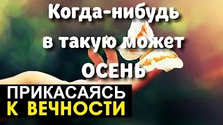 Когда-нибудь в такую может осень - Прикасаясь к вечности - Пётр Бальжик