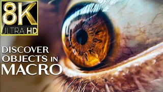 Discover Objects in Macro in 8K ULTRA HD /The World in Macro with Best Relaxing Music 8K #8kTrending