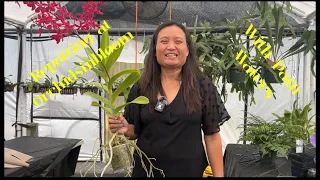 Orchidsinbloom Special Weekend ~Repotting with Pam Waters