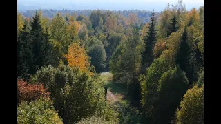 Harimägi, Estonia (4K video)