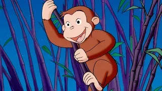 Georges le Petit Singe 🐵Une Soirée Au Zoo 🐵Saison 1 Épisodes Complet 🐵Dessin Animé 🐵Animation