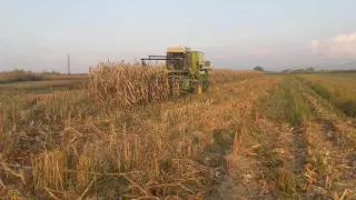 MDW Fortschritt E514 + E281 header corn harvest 2016