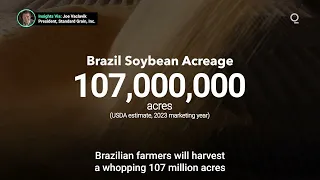 Brazil to Set Soybean Harvest Record