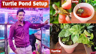 Buying Turtle from Pari Aquarium shop & Setup Turtle Pond || Turtle Pond Setup || Pari Aquarium
