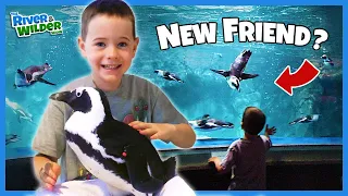 PENGUIN CUDDLES!? A boy's dream comes true