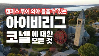 아이비리그 대학 코넬 졸업생이 직접 경험한 코넬 대학교 장단점 3가지