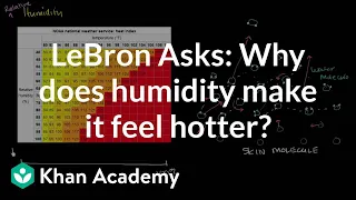 LeBron Asks:  Why does humidity make it feel hotter?