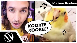 🦜 Kookee Kookee (CLUB ANTHEM) | SUBTITULADO EN ESPAÑOL | The Kiffness x Ginger the Cockatiel