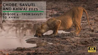 Chobe, Savuti and Khwai 2021 - Episode 4: From Savuti to Khwai