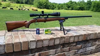 Quiet Shootout! CCI Quiet VS Remington CBee 22LR 5/14/19