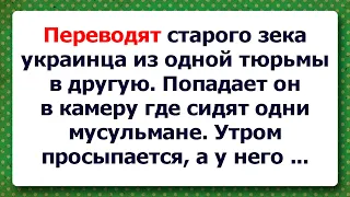 Анекдот про Сало! Пожалуйста, читаем ОПИСАНИЕ!!! Слабая психика - Проходим мимо!. Всем добра!