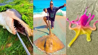 Fishing Videos - Catching Seafood Include Fish, Crab, Octopus #215 - Tik Tok