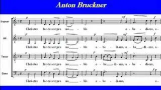 Christus factus est - Bruckner - Bass.wmv