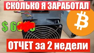 Сколько ЗАРАБОТАЛ за 2 недели МАЙНИНГА на асике L3+ | Окупаемость асика