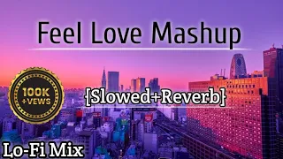 Feel Love Mashup || Lofi - [Slowed+ Reverb ] Love Mashup LoFi Song || #Trending #Lofimix