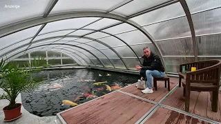 Modern Koi Blog #4348 - Doris' perfekte Überwinterung unter der Poolüberdachung