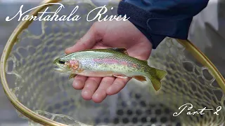 Western North Carolina Fly Fishing | The Nantahala River (Part 2)