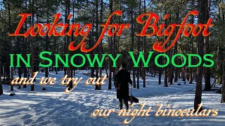 Looking for Bigfoot in Snowy Woods