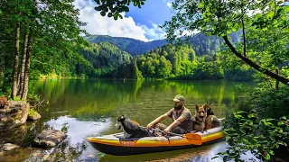 Canoe with My Dogs on the Lake, Solo Camping: Relaxing Camp