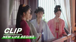 Yin An vs The Ladies | New Life Begins EP21 | 卿卿日常 | iQIYI