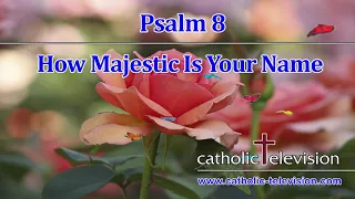 Psalm 8 | How Majestic Is Your Name | Learn From Psalms