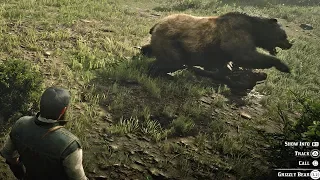 Red Dead Redemption 2 - Epic Grizzly Bear Attack on Hunter & John Marston (RDR2 2018)