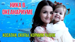 Ника в москвариуме!Косатки и скаты!Кормим рыбок.Привет, я Ника!