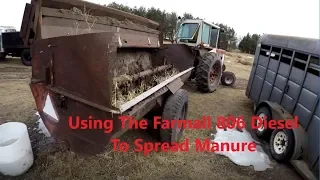 Using The Farmall 806 To Spread Manure