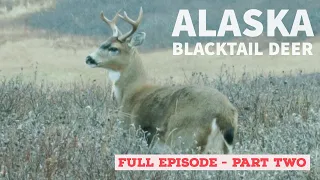 Alaska Blacktail Deer 2