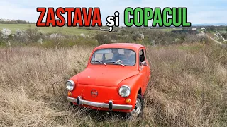 Zastava si Copacul - Se conduce Singura :)