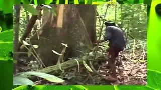 Uncontacted Amazon Lost Tribe Makes First Contact With Outside World!!!