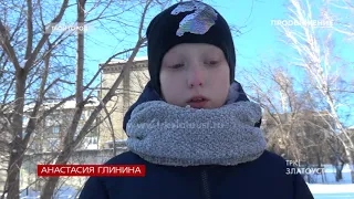 Златоустовская школьница рассказала о нападении стаи собак.