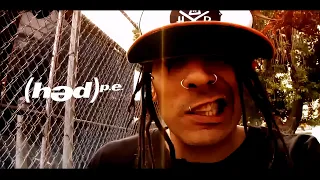 (hed) p.e.  - Renegade (Enhanced, HD)  2008