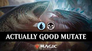 TOP 100 MYTHIC DIMIR MUTATE | This really does FARM adventures