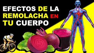 BENEFICIOS DE LA REMOLACHA PARA MEJORAR TU SALUD (Betabel)