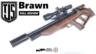JTS Brawn Review (Bullpup PCP Rifle) Top Accuracy at $499
