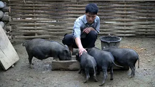 Animal Care: Pig, Duck, Chicken & Make a Stone Mill From Bamboo