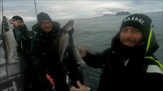 Pêche en Norvège aux îles Lofoten A, Nordic Sea Angling Camp