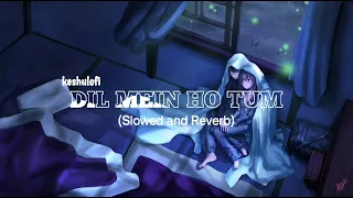 DIL MEIN HO TUM | Slowed and Reverb Mix | keshulofi,