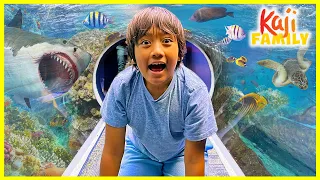 We Went on a Aquarium Adventure!!