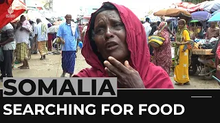 Somalia drought: Thousands displaced in search of food