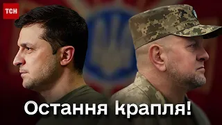 😱⚡ Остання крапля: що поставило крапку у взаєминах Зеленського із Залужним?