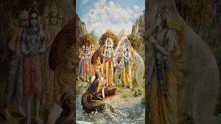 Jai jai narayan narayan hari hari 🙏🙏.      #narayan #hari #vishnu