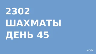 2302 - Шахматы - день 45