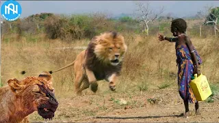 When Animals Go On A Rampage! Interesting Animal Moments CAUGHT ON CAMERA! #37