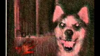 "Smile.dog" | CreepyPasta Storytime