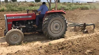 28 Yıldır Daha Anahtar Değmemiş Traktör Massey Ferguson 240