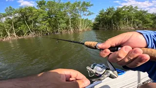 PESCARIA DE ROBALOS NOS RIOS DE MANGUE - PESCA ULTRALIGHT